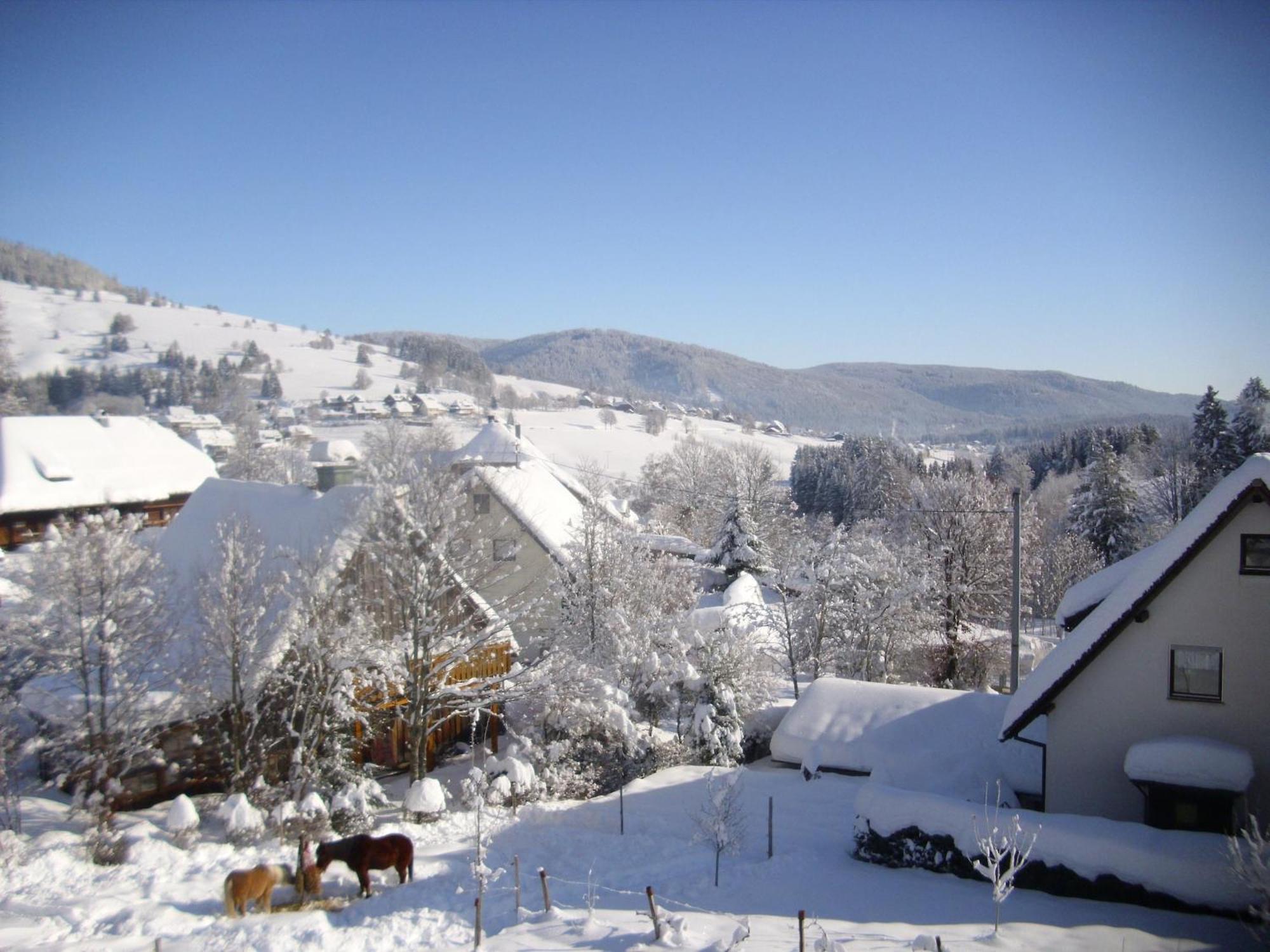 Beautiful Apartment In A Black Forest House With Conservatory Bernau im Schwarzwald Exteriör bild